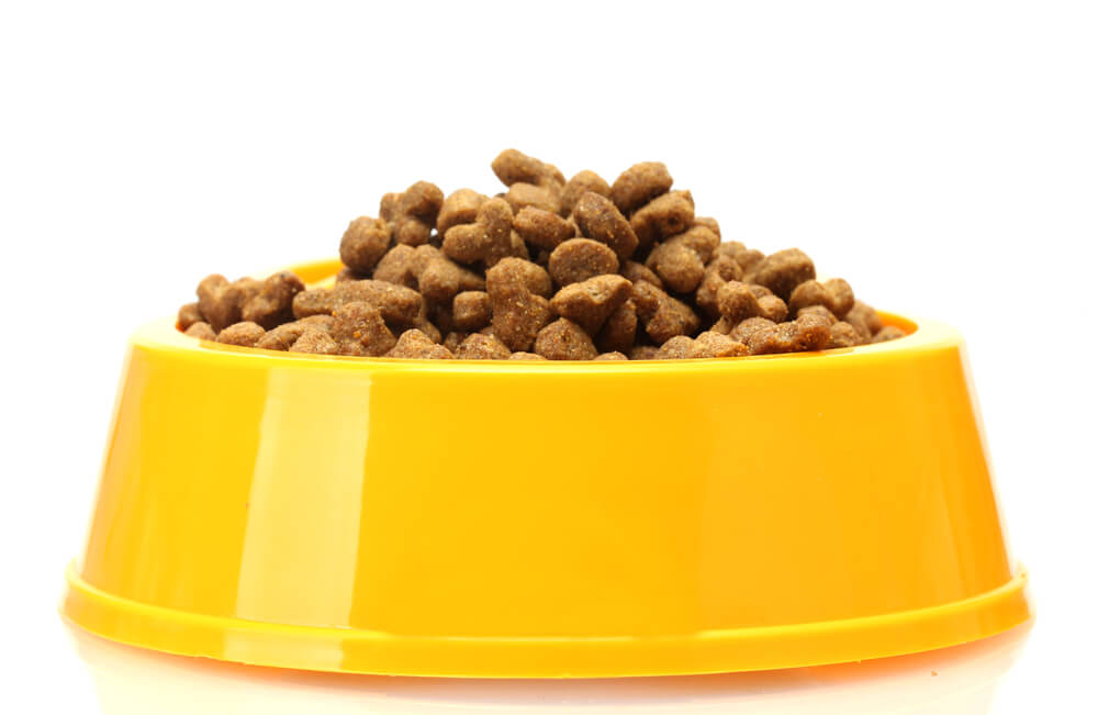 A bowl of dry cat food